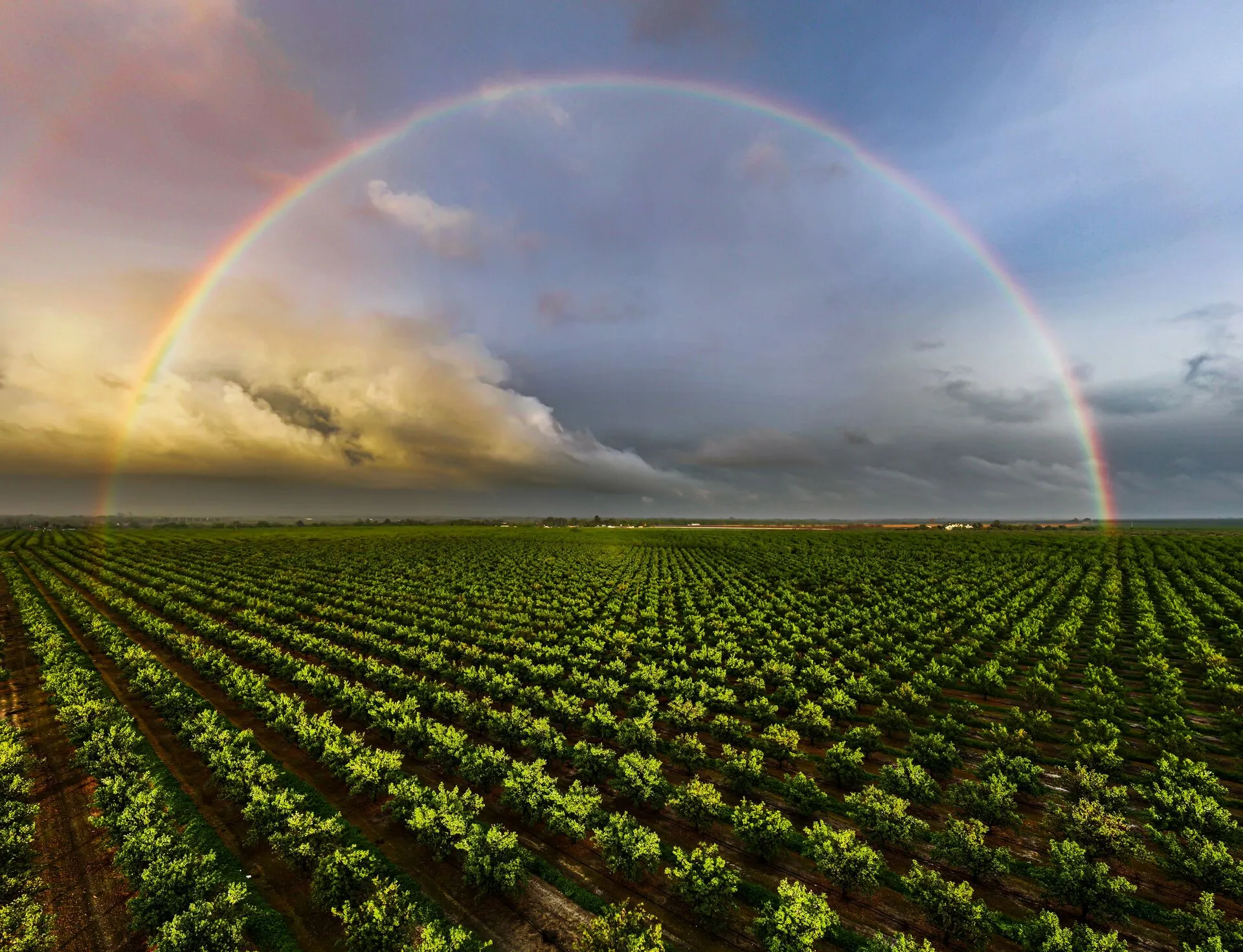 Mountain landscape with golden light