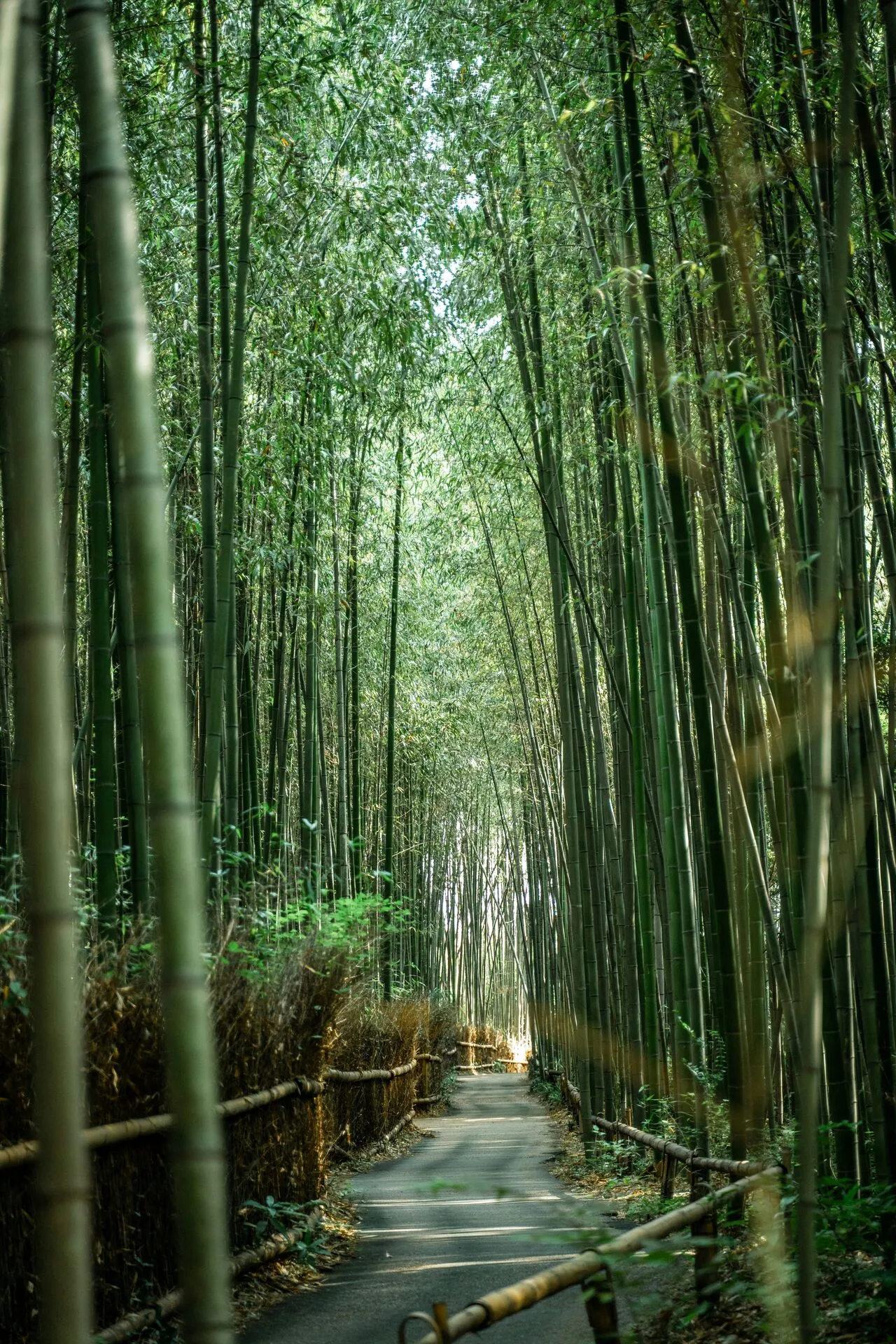 Contact Form 7 to Your CRM