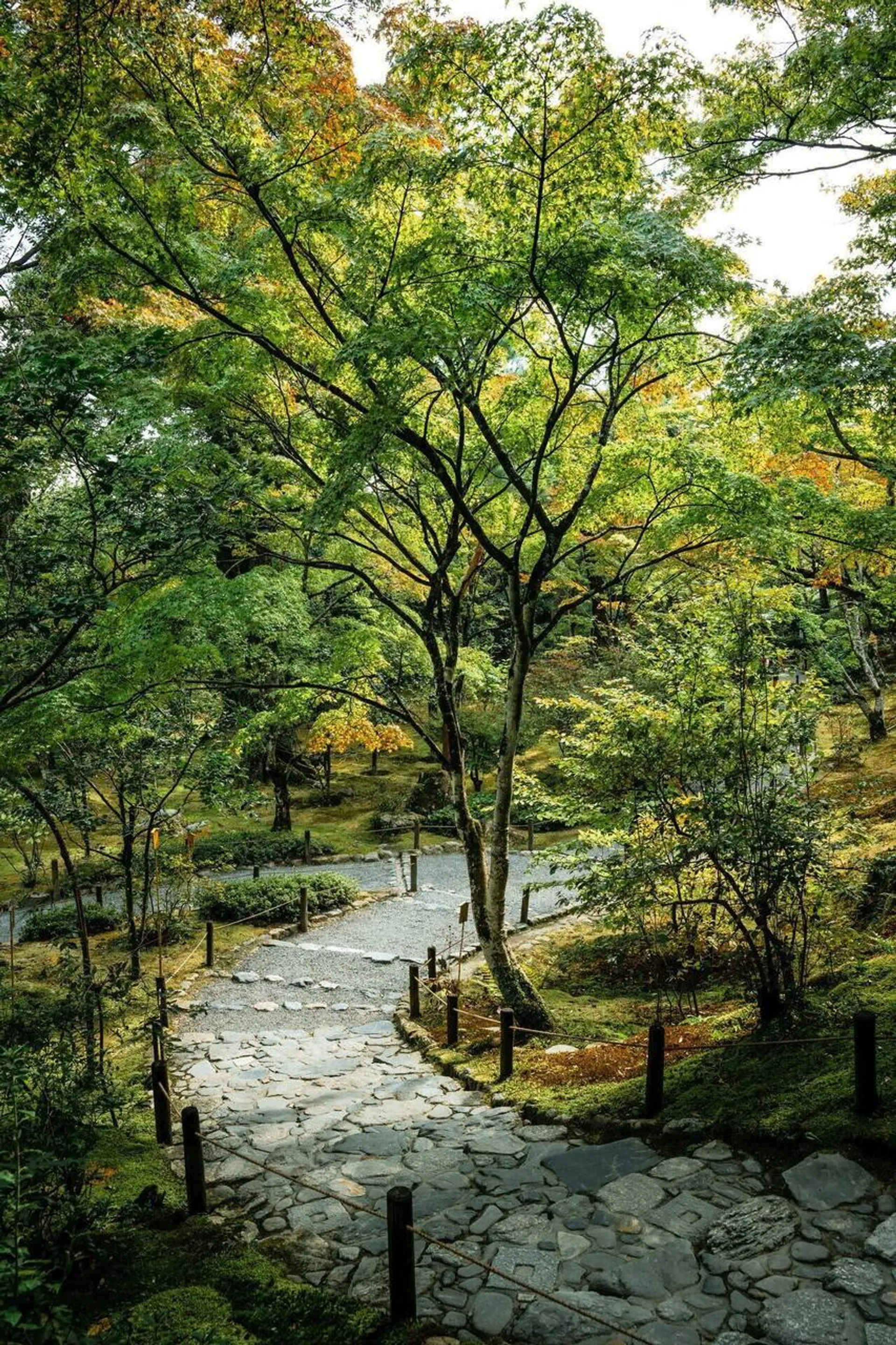 Vacation Rental Concierge Implementation Guide