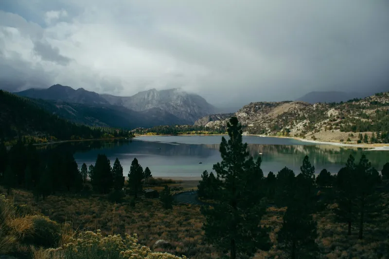 Vacation Rental CRM vs PMS: The Difference
