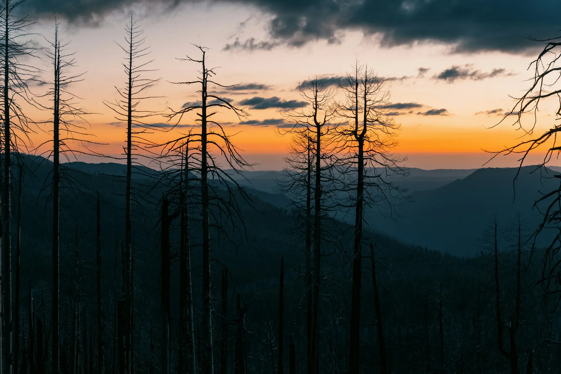 Channel Manager for VRBO: What It Owns vs. Your CRM