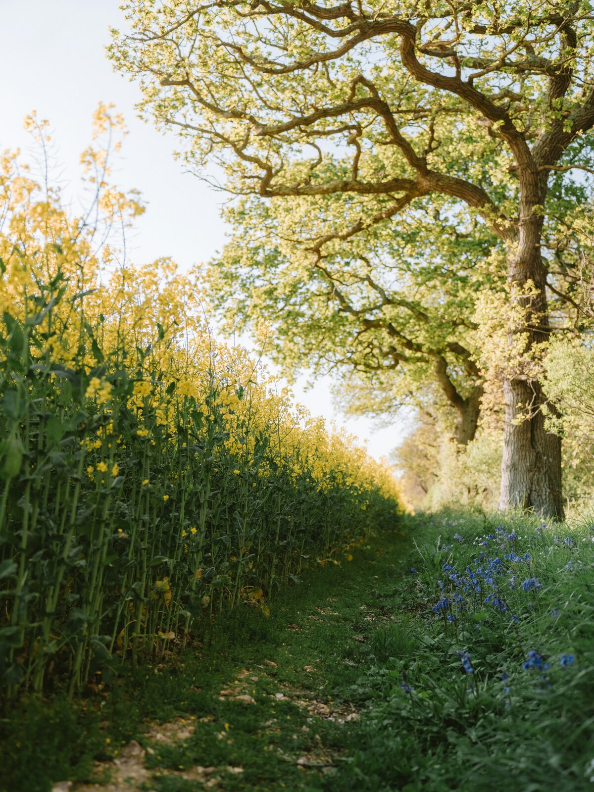 Mapping the Hotel Guest Journey: From Discovery to Loyalty