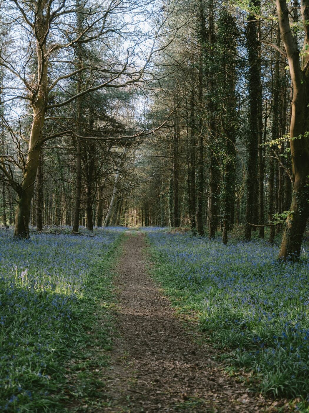 Hotel Guest Experience: Strategies for 2026