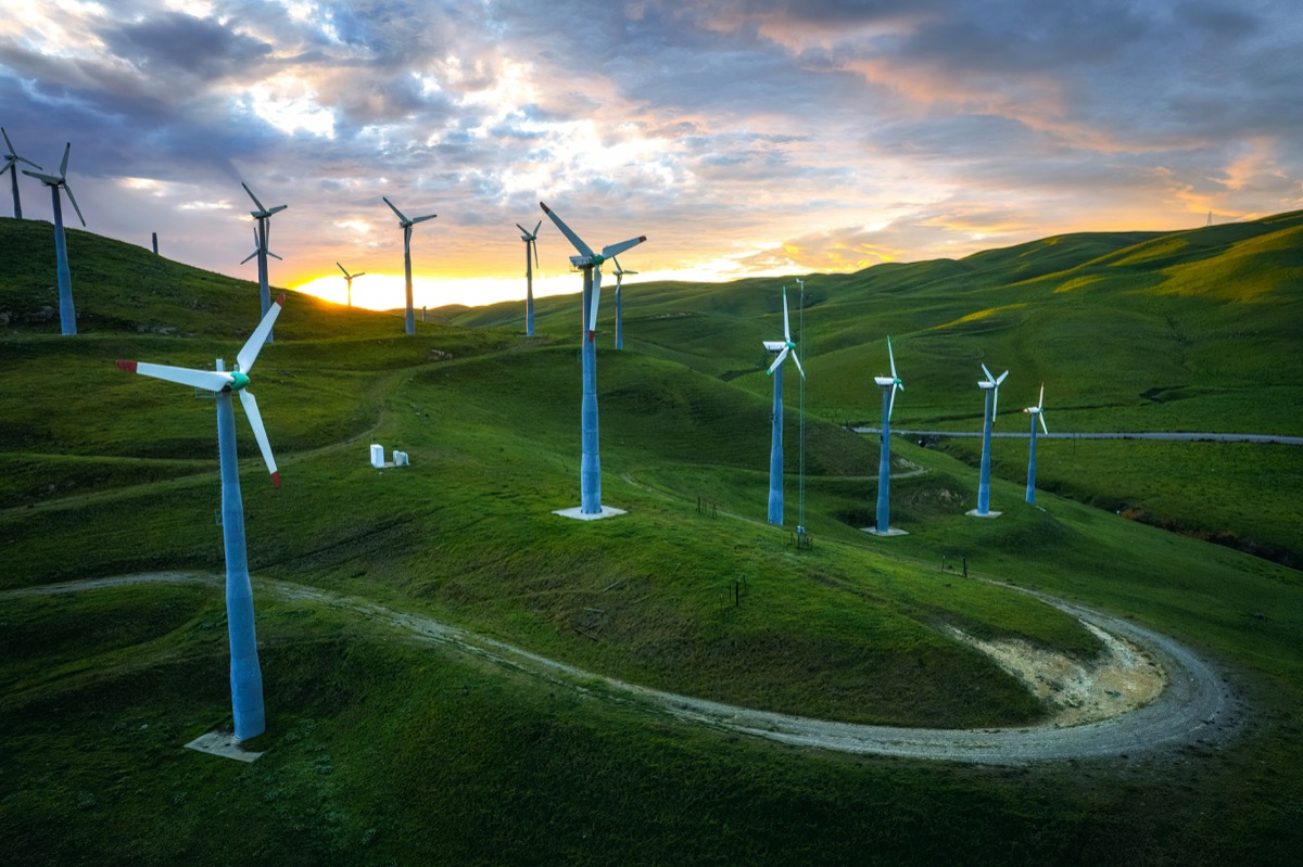 What CRM Does Hilton Use? An Inside Look