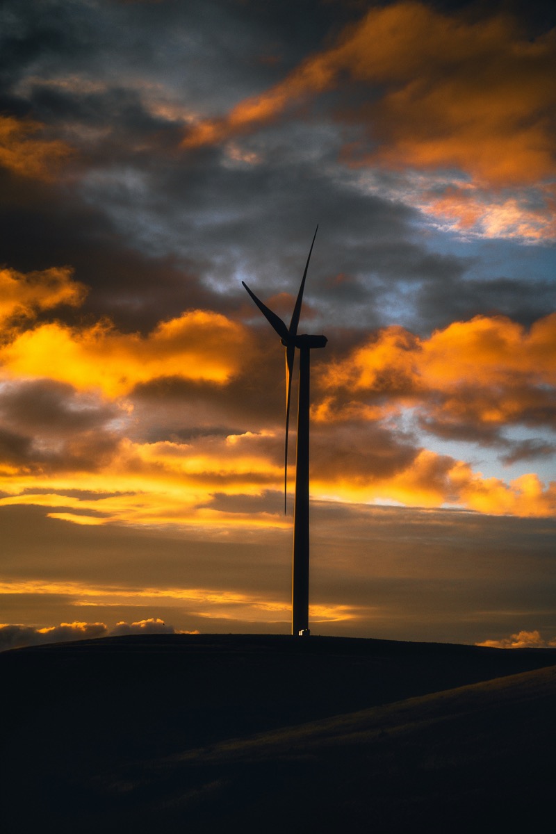 Hotel Digital Marketing: 12 Direct Booking Wins