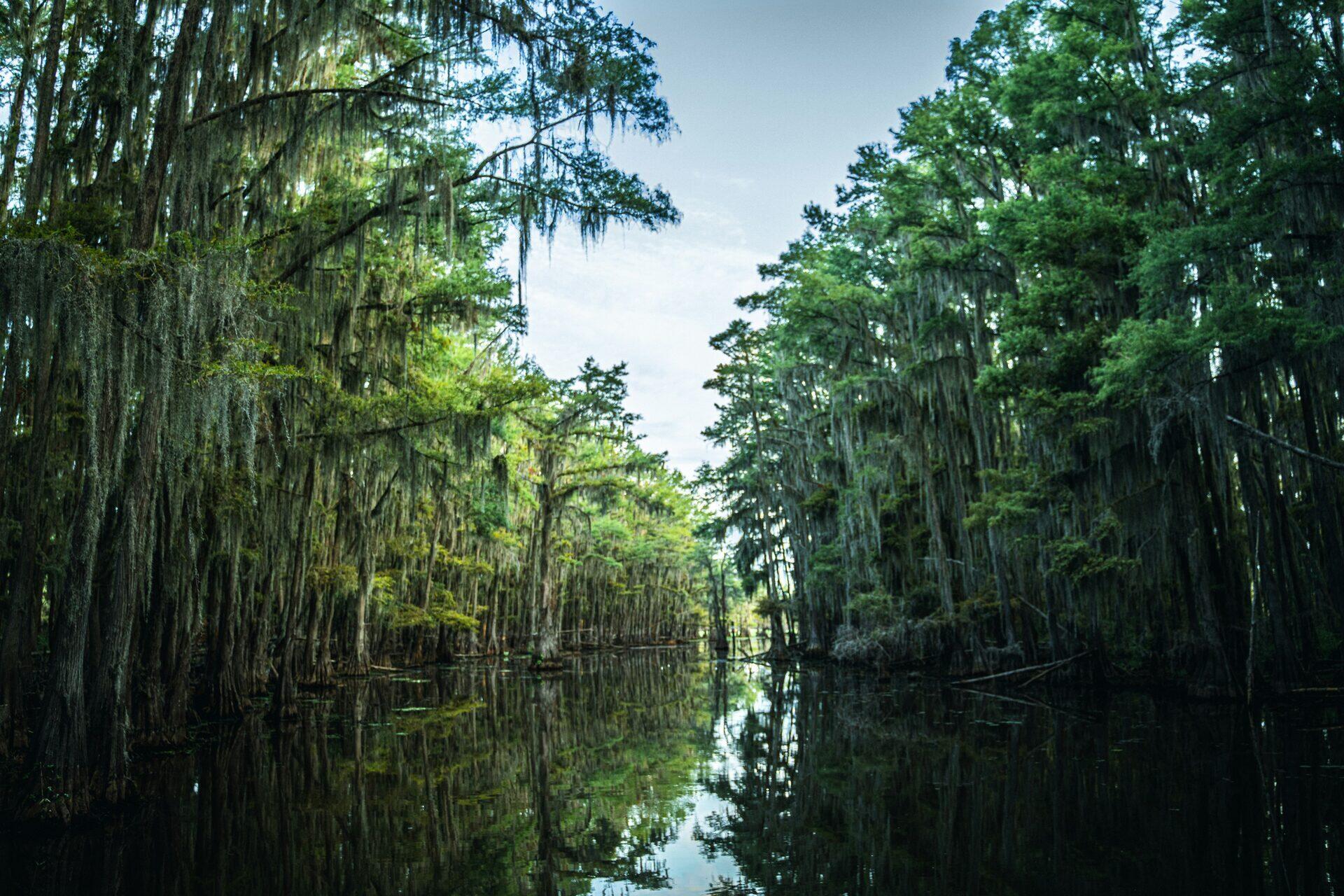 WiFi Email Capture for Hotel Marketing