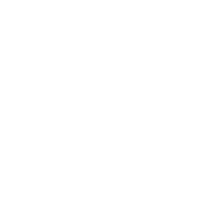 Beach Reunion