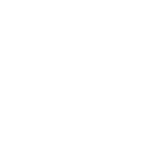 Florida Vacation Homes