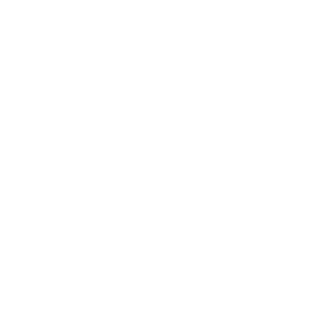 Pro Housing