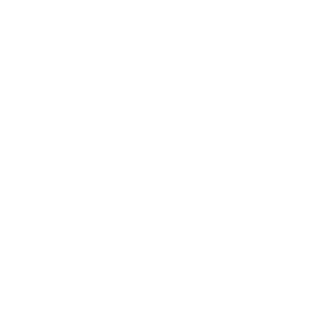 Maimon Group